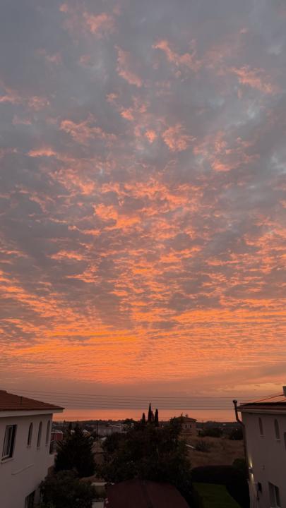 Just felt like sharing 🤷🏼‍♀️ 