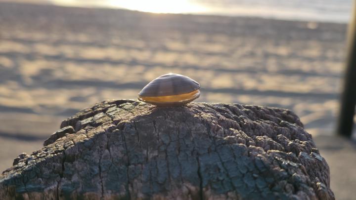 Does history repeat itself?