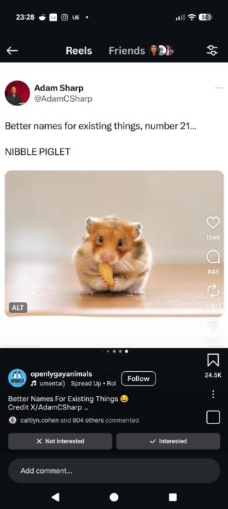 Felipe Unzueta De Ayala