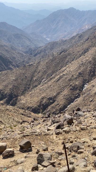 اروى القحطاني