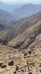 اروى القحطاني