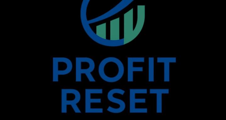 The Profit Reset™