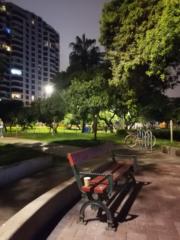 Daniel Jesus Puma Ponce