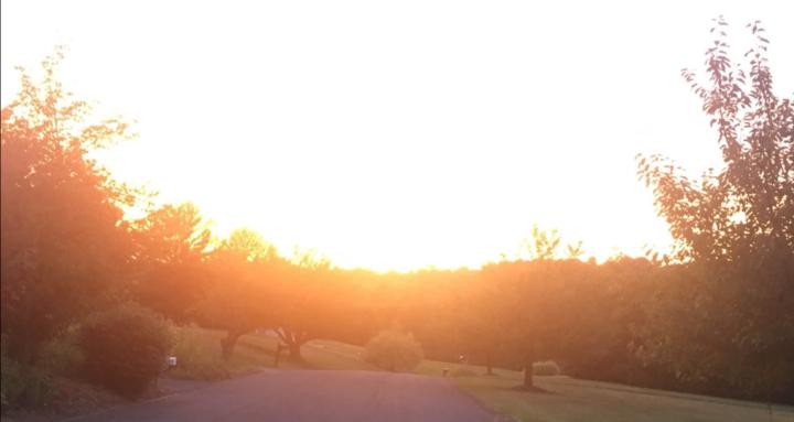 One Free Soul Grief Journey