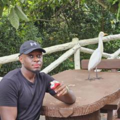 Majid Tassembedo