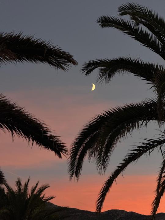 Rubén Ramírez García