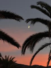 Rubén Ramírez García