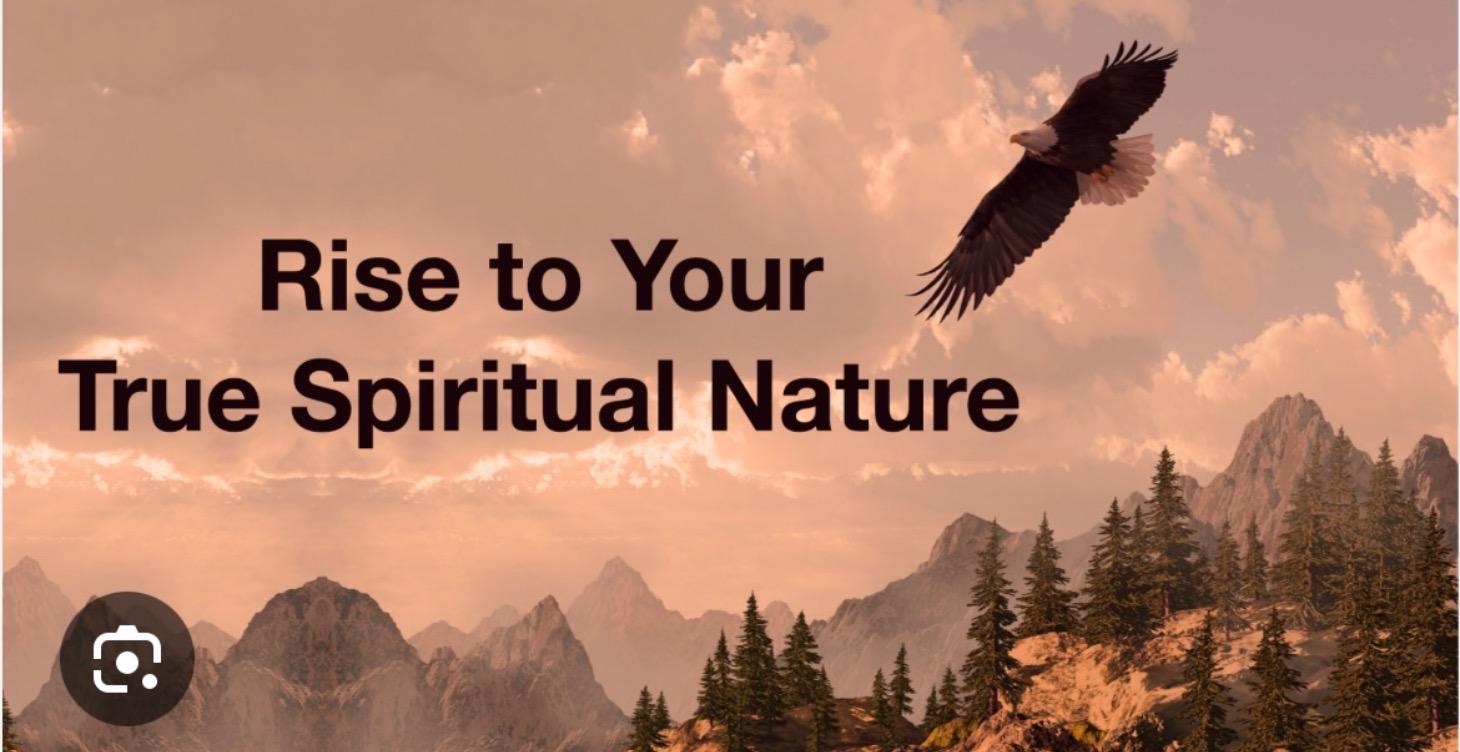 The Spiritual Nature of Life