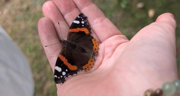 The Friendly Home Ed Tribe ✨