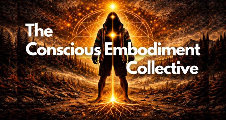 Conscious Embodiment