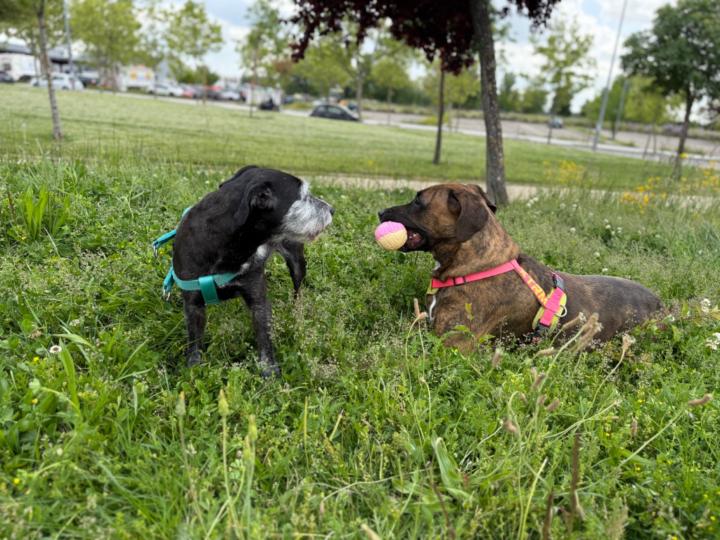 Natalia Galan Muñiz