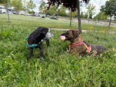 Natalia Galan Muñiz