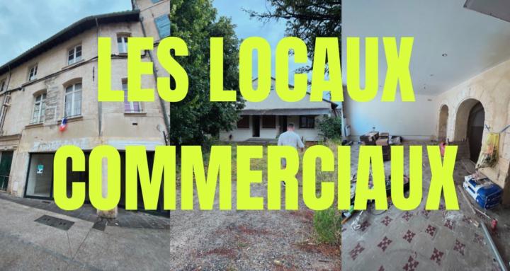 LES LOCAUX COMMERCIAUX