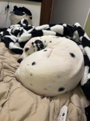 Malcolm Sanders Sanders