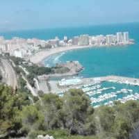 Марина Бояджиева