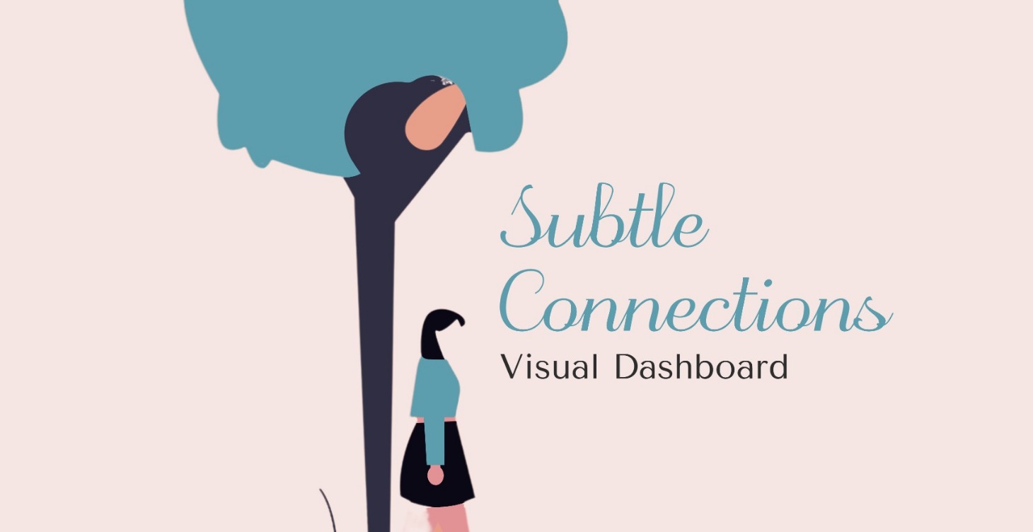 Subtle Connections Visual Dashboard