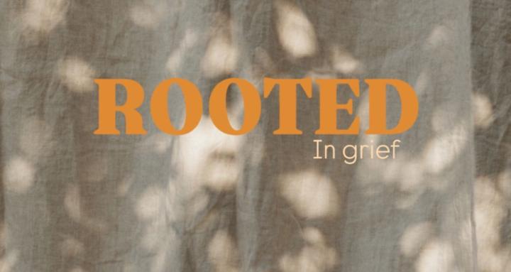 Rooted