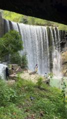 Blossom Barrett-Salmon