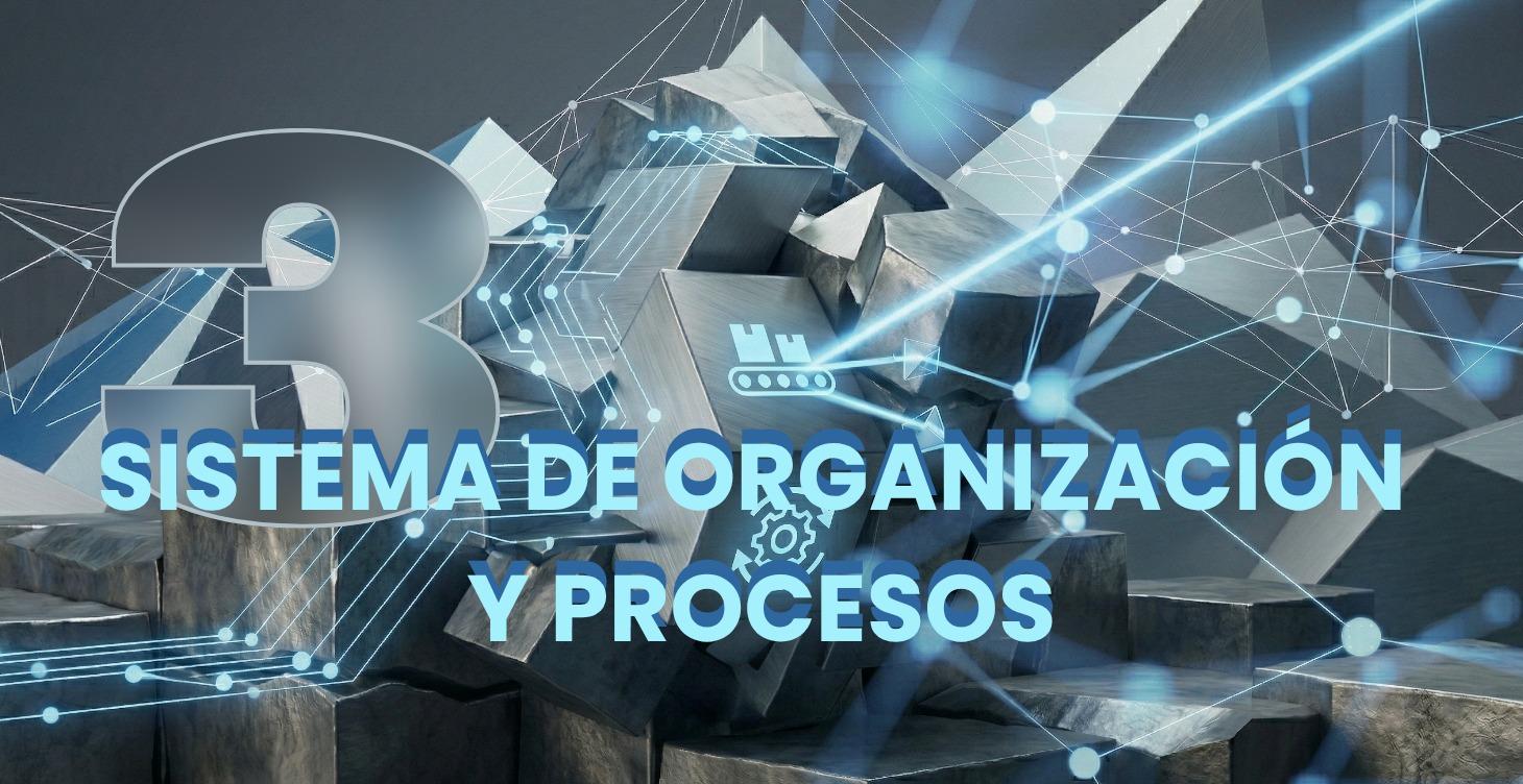 SECCIÓN 3 — SISTEMA DE ORGANIZACIÓN Y PROCESOS