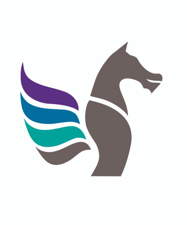Dragon Wray LLC