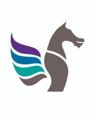 Dragon Wray LLC