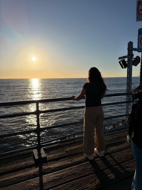 Silvia Flores Gimenez