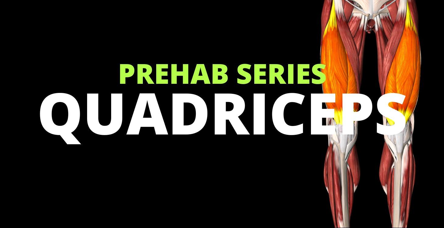 Quadriceps