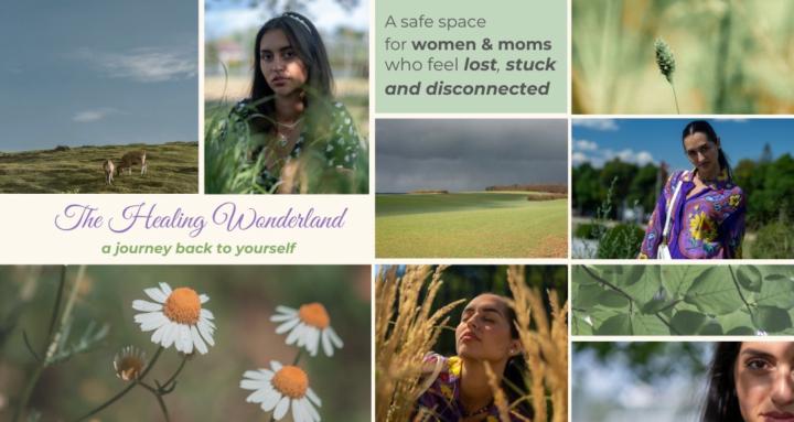 The Healing Wonderland 🌸