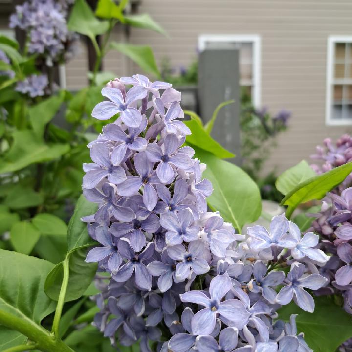 Studio Connection Bg