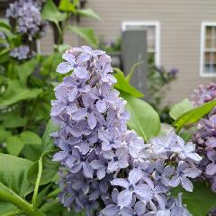 Studio Connection Bg