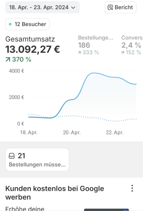 13.000€ Umsatz innerhalb 4 Tagen mit einem eigenen Online-Shop!