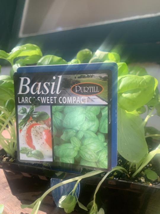 The early years is  about finding and creating friendships