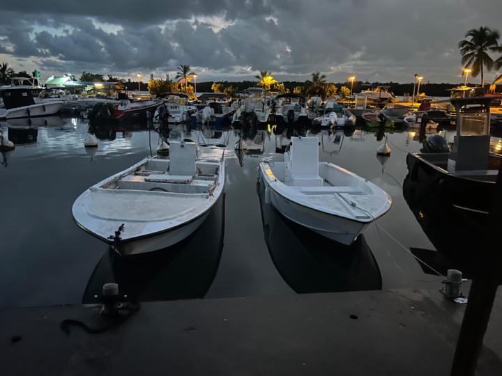 Laurent Botreau-roussel