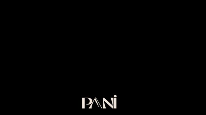 Nicolas Pani