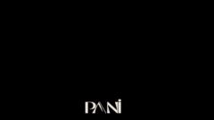 Nicolas Pani