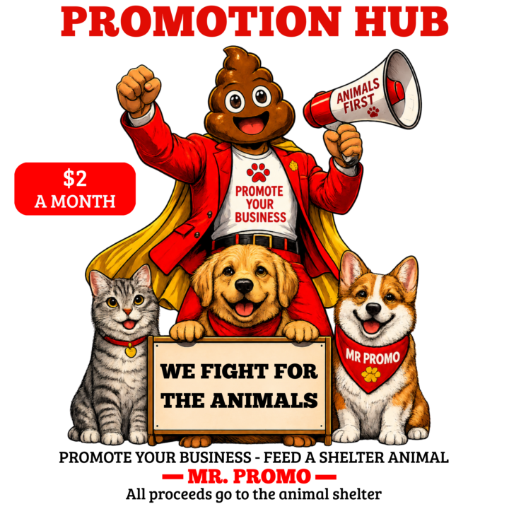 Who Is Mr. Promo?