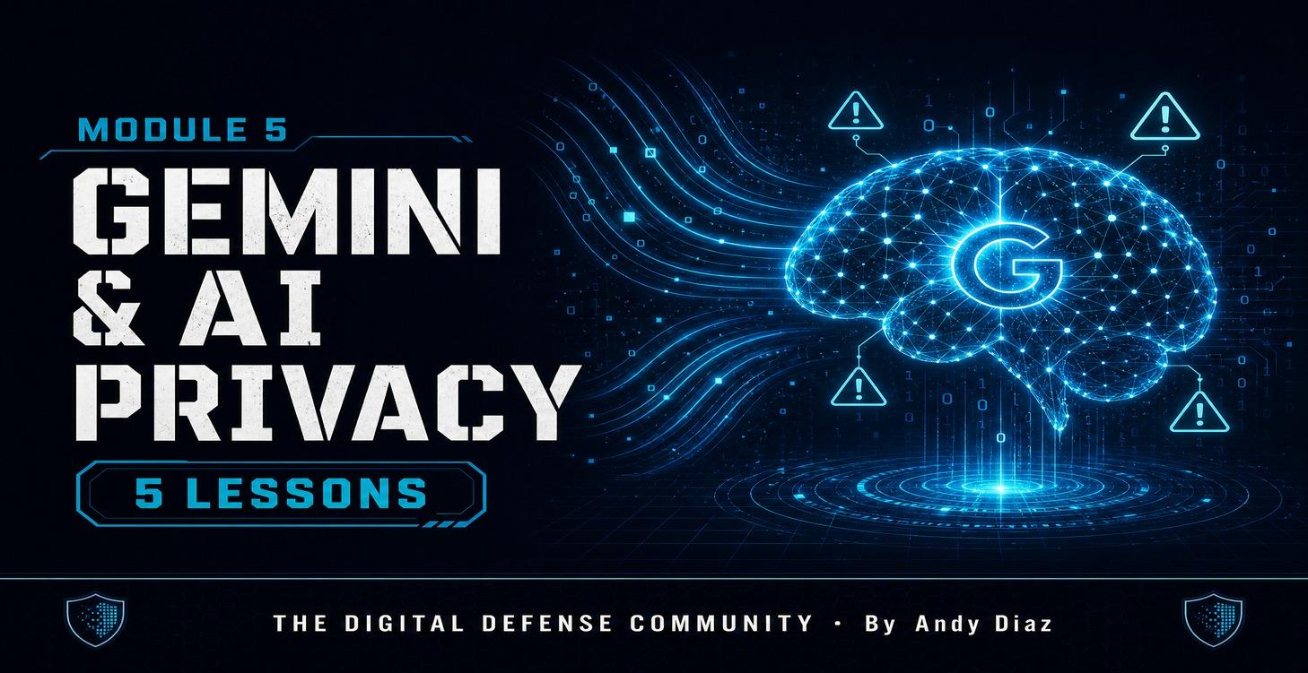 Gemini & AI Privacy