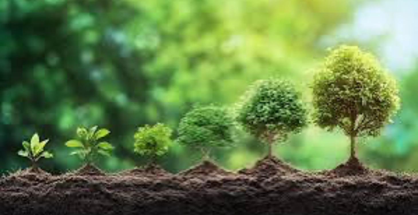 7 Day Boundaries & Energy Challenge