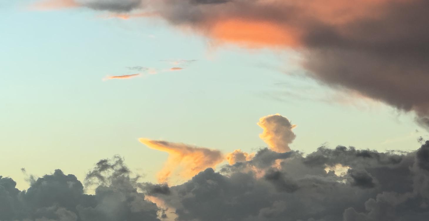 4 week Energetic Business Cycle