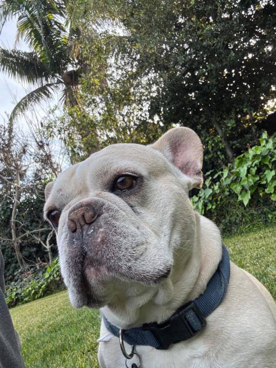 Martin Duarte