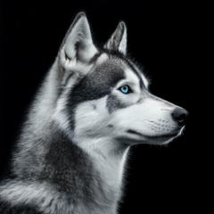 Ángel Sáez de Santiago