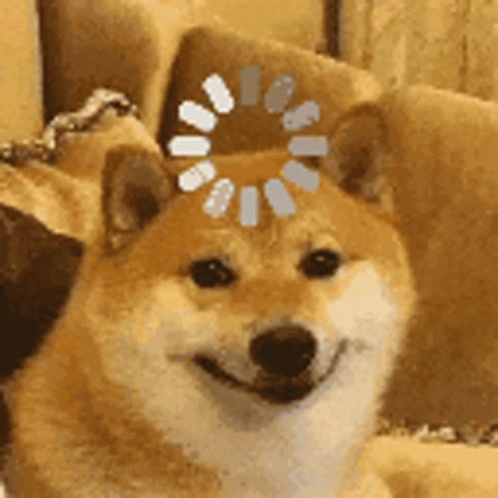阿 魁魁