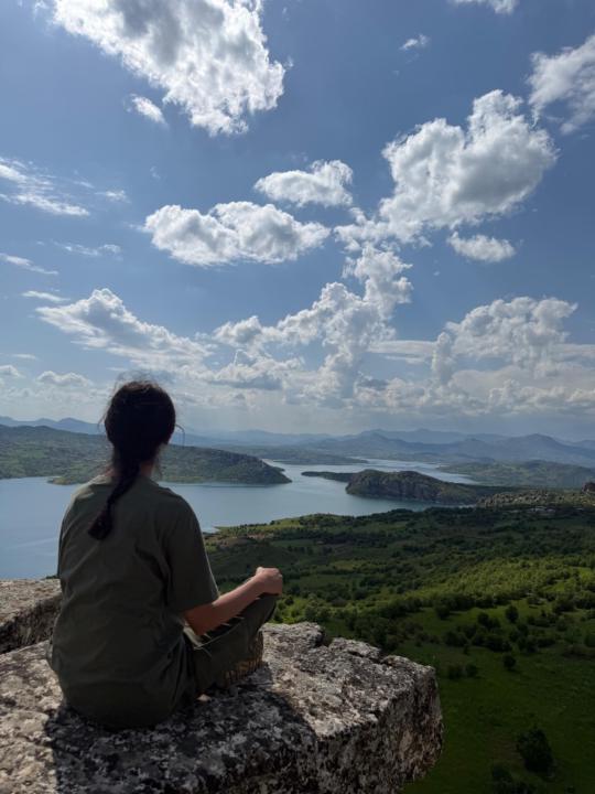 Diren Fine