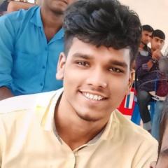 Md Mehedi Hasan Mamun