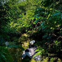 Nguyễn Thành Công