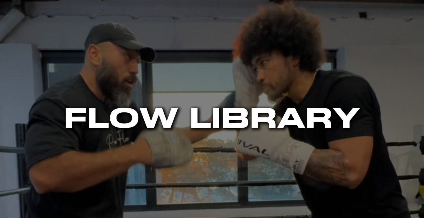 Flow Library