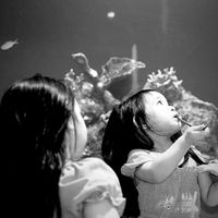 Elaine Grace Nobleza