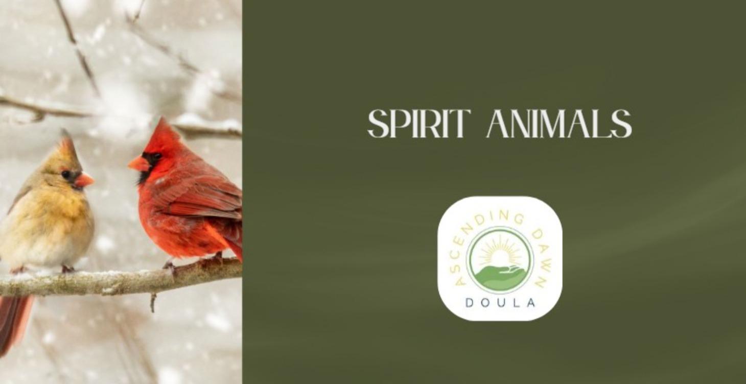 Animal Hellos: Signs, Symbols & Messages