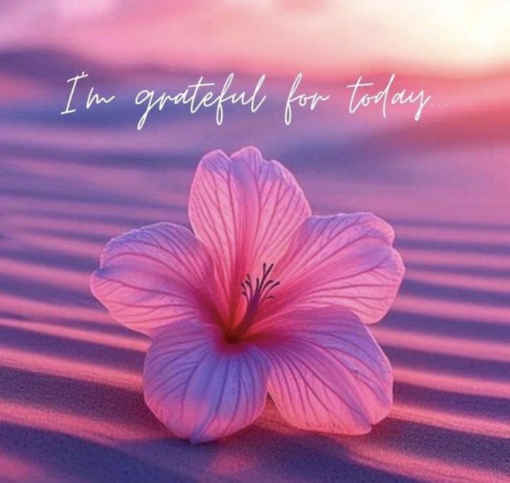Happy Friday!