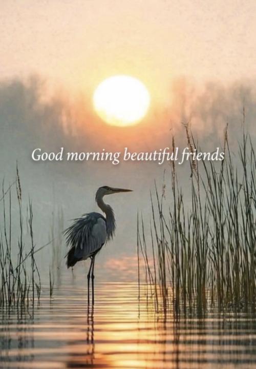 Be like the heron…
